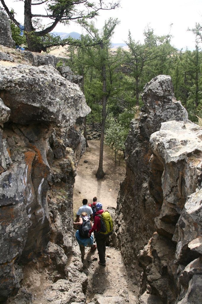 Mongolei,Gambda,Wald