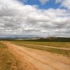Bild in mongolei