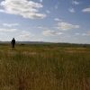 Bild in mongolei