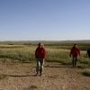 Bild in mongolei