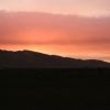 Bild in mongolei
