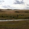 Bild in mongolei