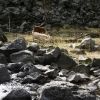 Bild in mongolei
