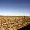 Bild in mongolei