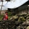 Bild in nepal