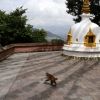 Bild in nepal