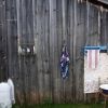 Bild in russland