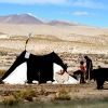 Bild in tibet