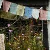 Bild in tibet
