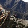 Bild in tibet