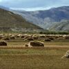 Bild in tibet