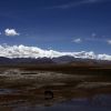 Bild in tibet